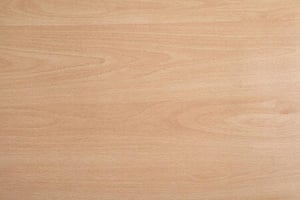 Beech2-e1633441843180