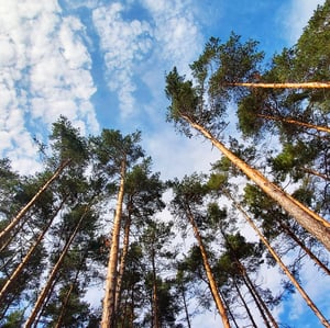 Screen Shot 2022-08-12 at 9.58 1 (3)