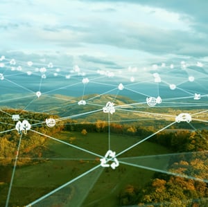 Screen Shot 2022-08-12 at 9.58 1 (4)